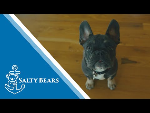 Salty Bears Team Announcement & Melvin!