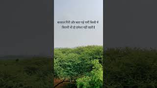Famous #music #instrumental #forest #rainyseason #raindays #truth Net Worth