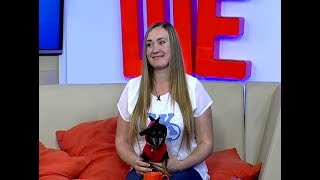 Дизайнер одежды для кошек Татьяна Столярова: я начала шить, потому что ушла в декрет и завела кота Дизайнер одежды для кошек Татьяна Столярова: я начала шить, потому что ушла в декрет и завела кота