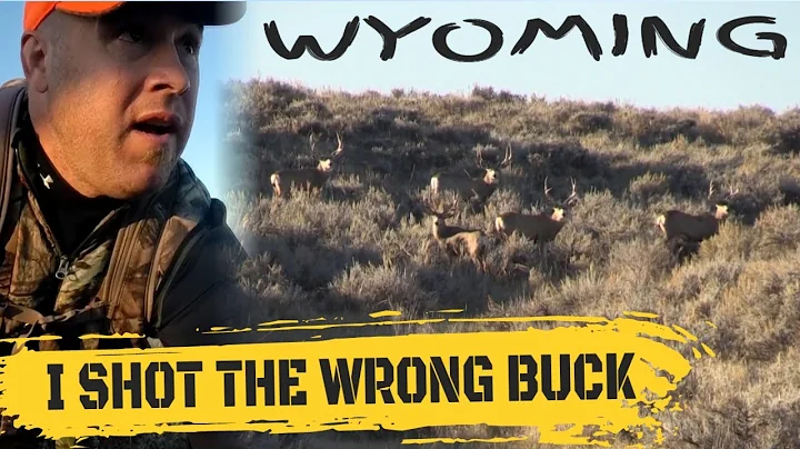 I Shot The Wrong Buck//Mule Deer Hunting In Wyoming