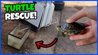 Rescuing ABANDONED TURTLE From TRASH! by Carson’s Aquatics 22,637 views 1 year ago 7 minutes, 14 seconds