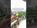 05 hacks for glowing skin #faceyoga #glowingskinroutine