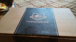 meow box November