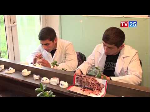 პროფესიული განათლების სტრატეგია და მოთხოვნადი პროფესიები