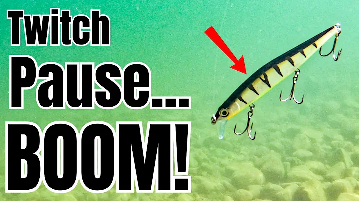 The ONLY Jerkbait Video You Will Ever Need!