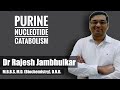 Purine nucleotide catabolism and Uric acid