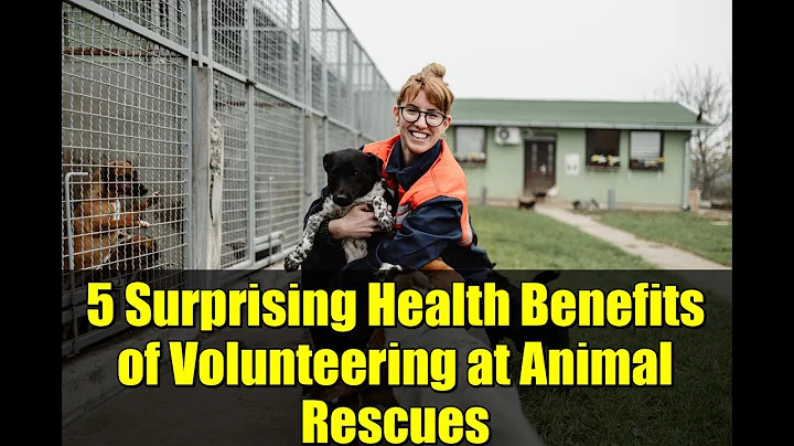 5 Surprising Health Benefits of Volunteering at Animal Rescues