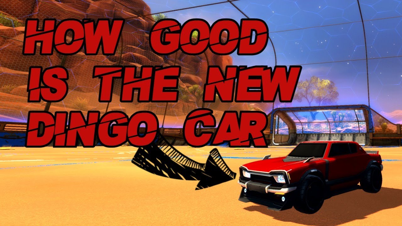 HOW GOOD IS THE *NEW* DINGO CAR?! YouTube
