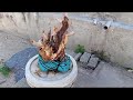 M494 gl cây bằng lăng tím 100k Lh0707713796 Khương bonsai