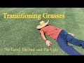 Transitioning grasses the good the bad and the ugly