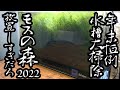 【年末恒例水槽大掃除2022】モスの森放置しすぎだから年末に大掃除!!