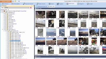 Forensic Explorer - Extract, Bookmark and Report on Camera Make & Model Metadata