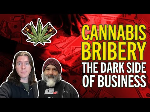How to Start a Cannabis Business the Right Way - Avoiding the Dark Side of the Industry