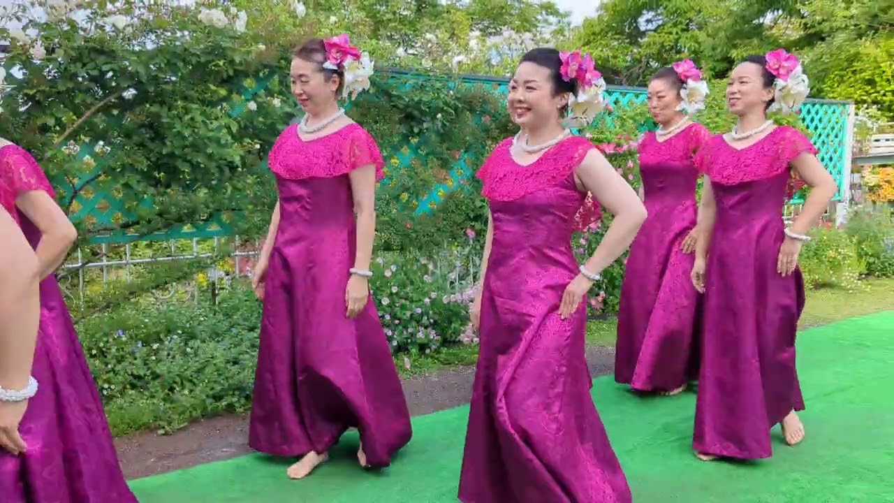 藤岡オープン・ガーデン＃フラダンス＃ハレアカラ＃ホメカパラ＃ヴァイオレカ