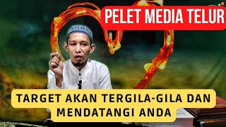 PELET MEDIA TELUR