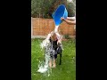 Kylie Ice Bucket Challenge