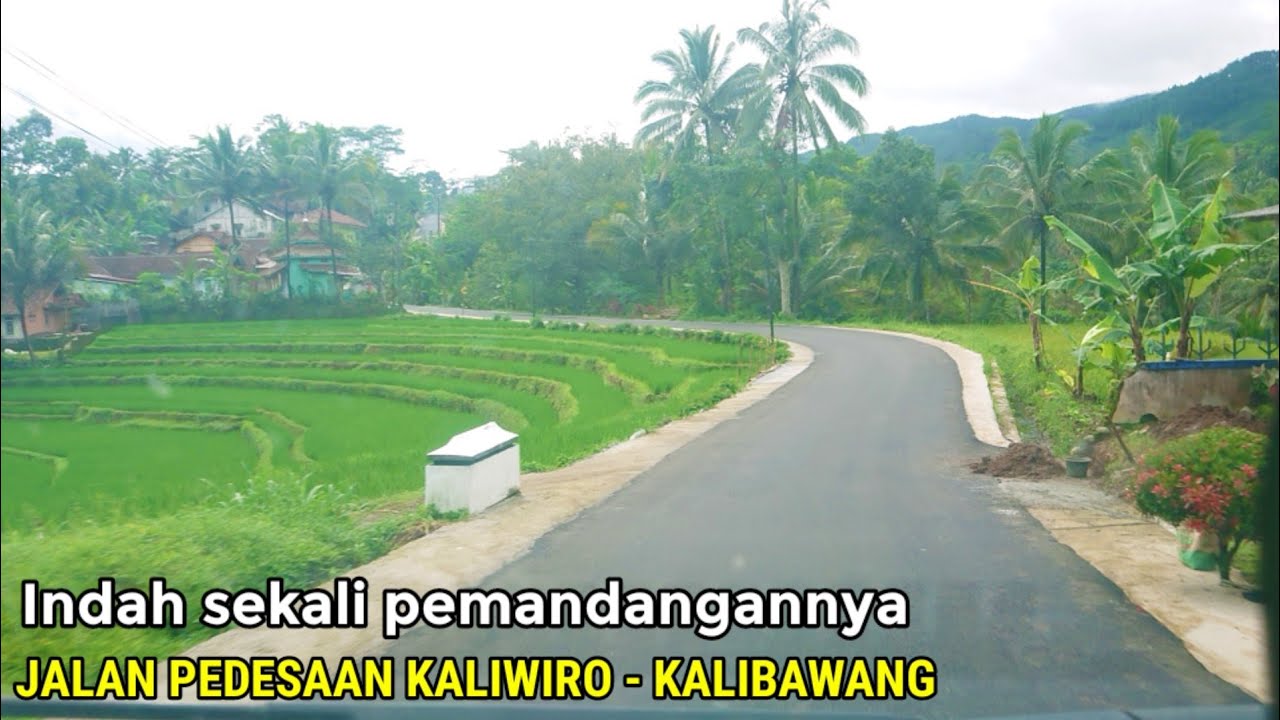Luar biasa ‼️Suasana jalan pedesaan yang indah, jalan kecamatan KALIWIRO menuju KALIBAWANG