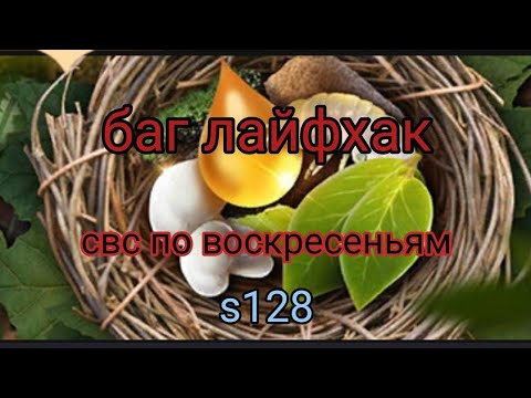 the ants underground kingdom баг игры получение подарков в свс по воскресеньям. сурок