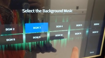 BSS and Crestron control.