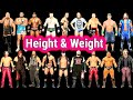 Wwe wrestling 35 superstars height  weight 