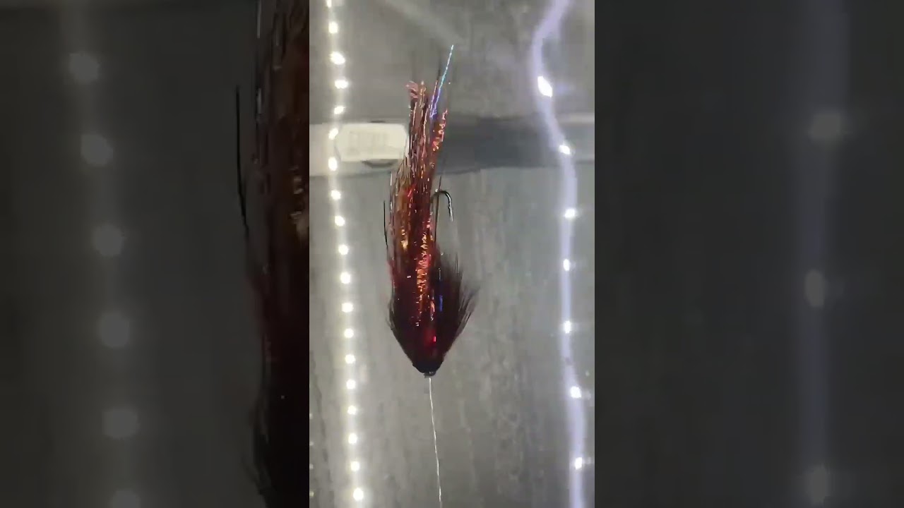 March Brown vaiant Flashwinge