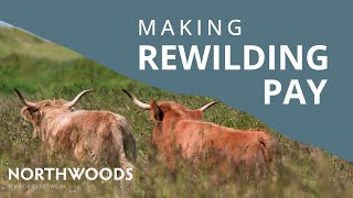 MAKING REWILDING PAY | The Kinkell Byre Story