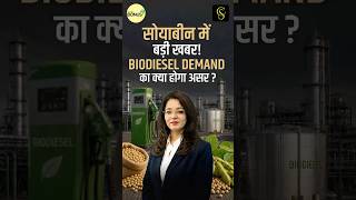 Soyameal import relaxation की सच्चाई #shortvideo #shorts