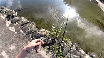 Comment pêcher au lac de Gérardmer ?
