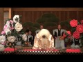 半能　石橋狻猊之式（しゃっきょうさんげいのしき）　[部分]