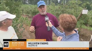 The science behind Hillview Farms in New Jersey
