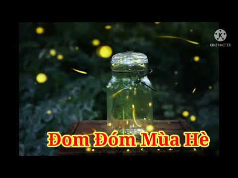 Đom đóm mùa hè - Tập 07 Giang tiểu lục (50) - youtube