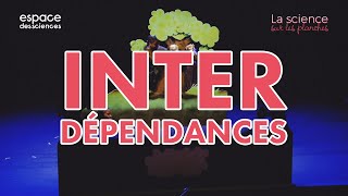 Interdépendances