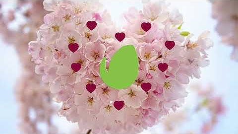 Minimal Heart Logo Intro | After Effects Template | Logo Stings