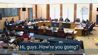 How do we know we aren't at Net zero already - Senate 28.5.24