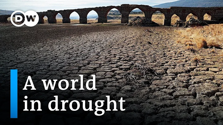 Disruption in water cycle threatens the Earth | DW News - DayDayNews
