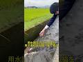 【神対応】用水路を流される猫を、男子高校生が間一髪で救出!
