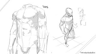 learning anatomy as an animator to cope with our mid drawing skills