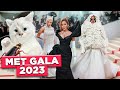 MET GALA 2023: LOOKS, POLÊMICAS E BARATA NO RED CARPET | Diva Depressão