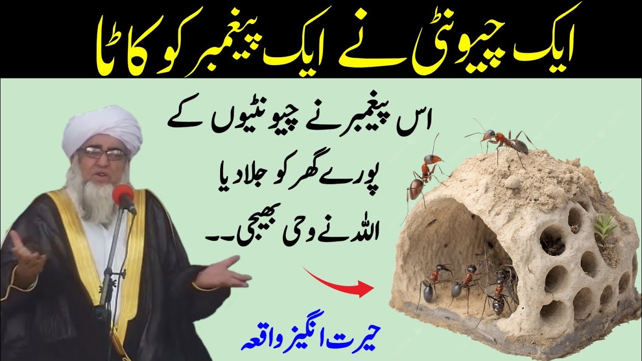 Eik Chinti Eik Nabi Ko kata | Chinti Aur Nabi ka Waqia | Ants And Nabi Story | Mufti Zarwali Khan