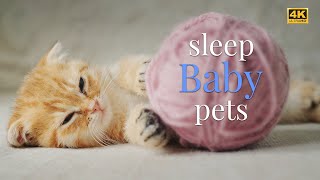 Sweet Dreams for Adorable Pets with Relaxing Music by Happy Pets Space 302 views 5 months ago 22 minutes