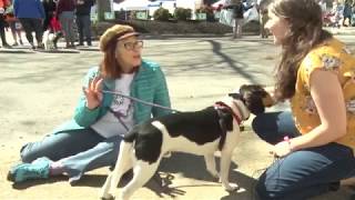 Richmond SPCA Annual Dog Jog