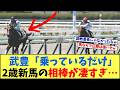 【2歳新馬】「武豊「乗っているだけ…」武豊の2歳新馬の相棒が凄すぎたんだけど…」に対する競馬に役立つまとめ