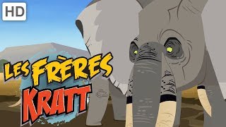 Les Frères Kratt 🐘  Grands Animaux 🐙 | Vidéos pour Enfants