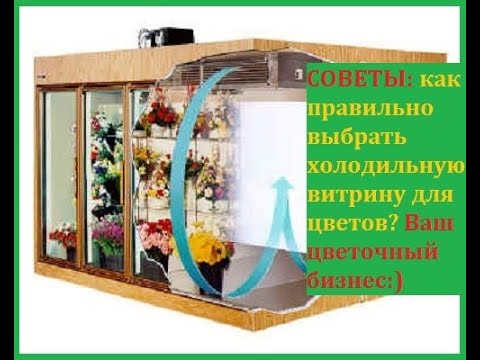 Цветочный бизнес. Как выбрать холодильник для цветов? Рекомендации для ...