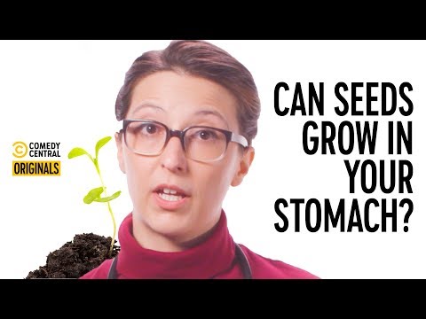 Can A Tree Grow In My Stomach If I Swallow A Seed? - Your Worst Fears Confirmed