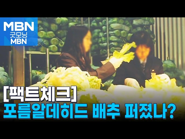 [팩트체크] "한국도 위험?, 눈으로 확인 가능?"…포름알데히드 배추 논란, 진실은 [굿모닝 MBN]