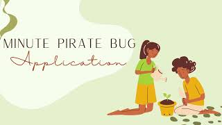 Minute Pirate Bug Application