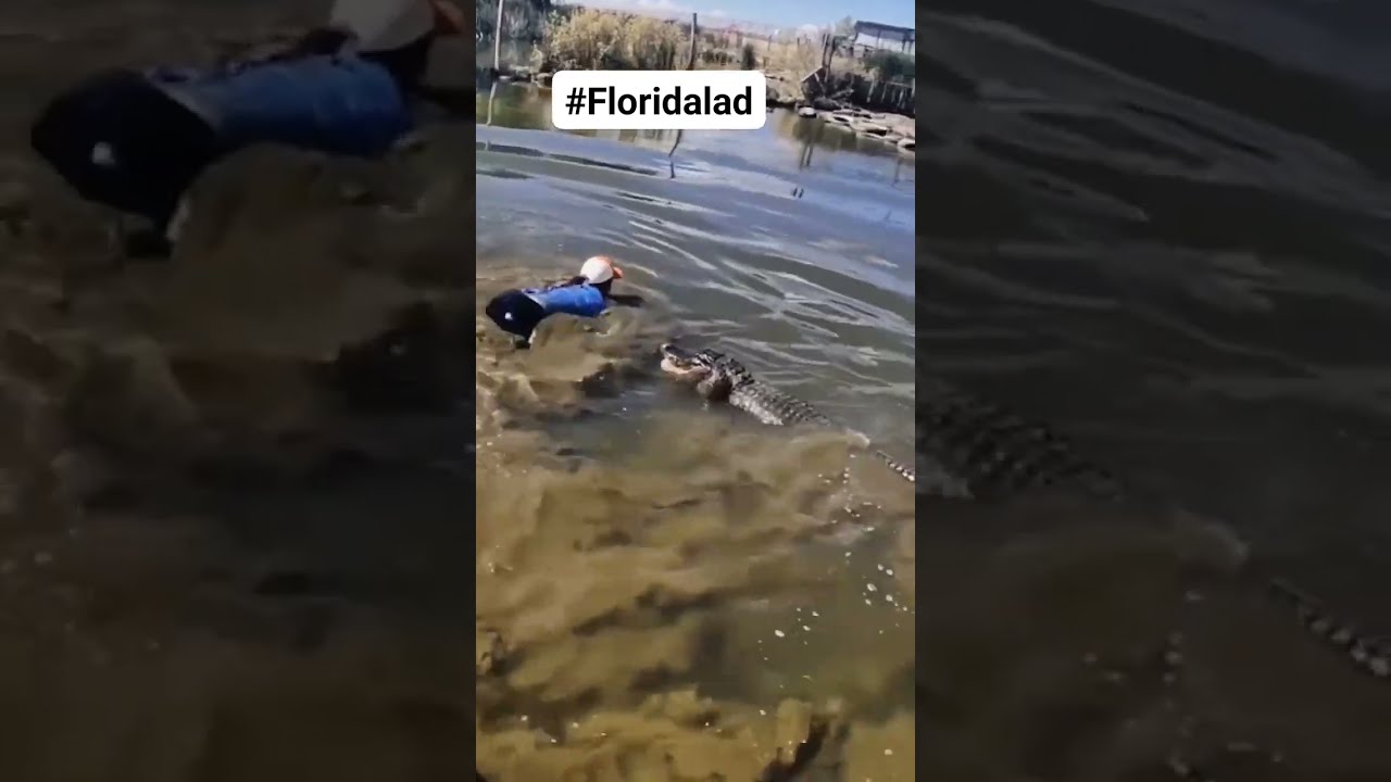 Florida Lady Jumps Into Alligator Infested Pond 
