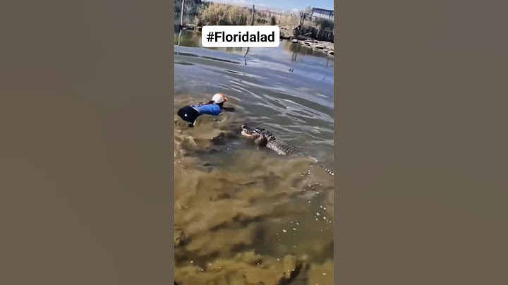 Florida lady jumps into alligator infested pond 🐊😱