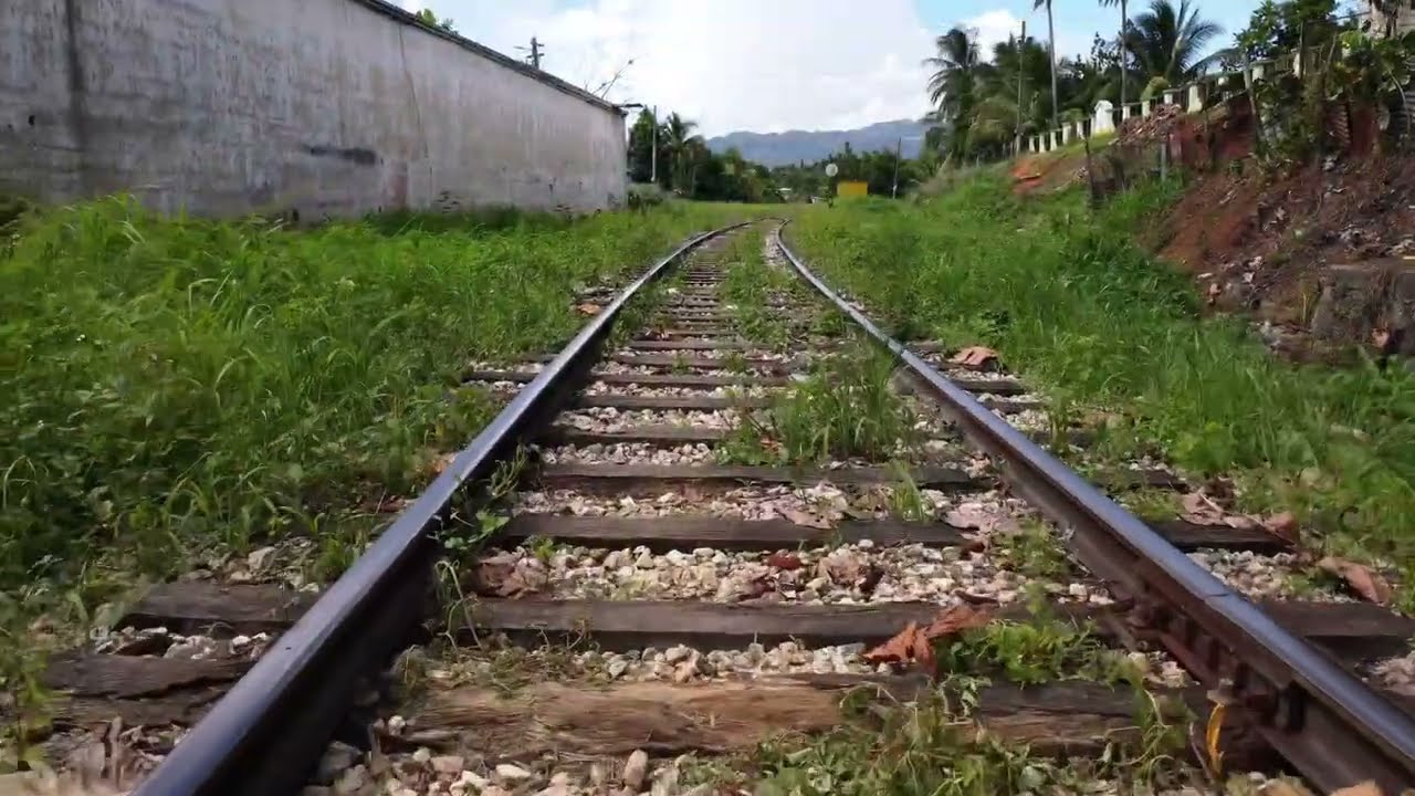 Bog Walk Gorge & Linstead Station 🚂 | Jamaica Travel Vlog to Reggae Jamaica Village